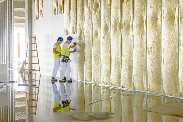 Best Spray Foam Insulation  in Reading, MI